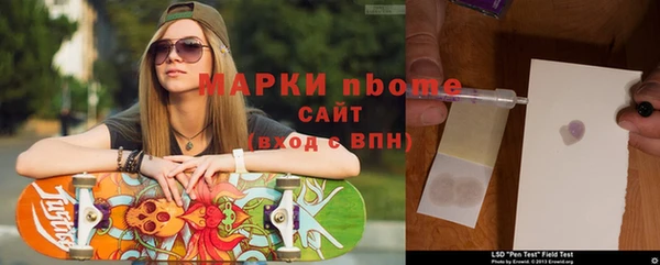 индика Баксан
