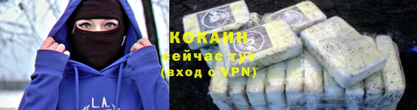 индика Баксан