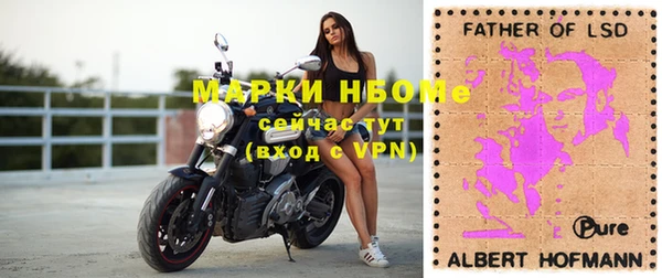 молекула духа Балахна