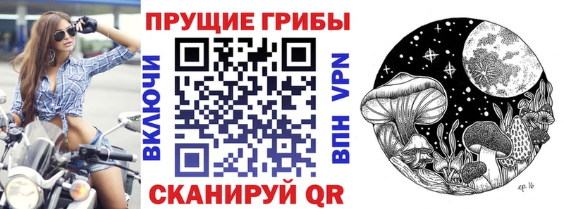 Галлюциногенные грибы Magic Shrooms  blacksprut онион  Волчанск  цена  